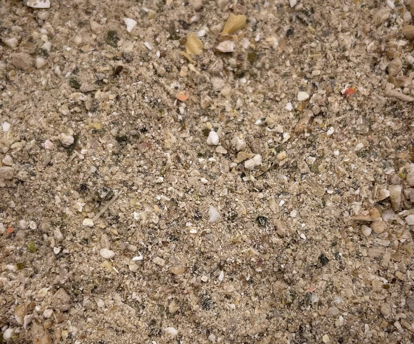 Bio-Feed
