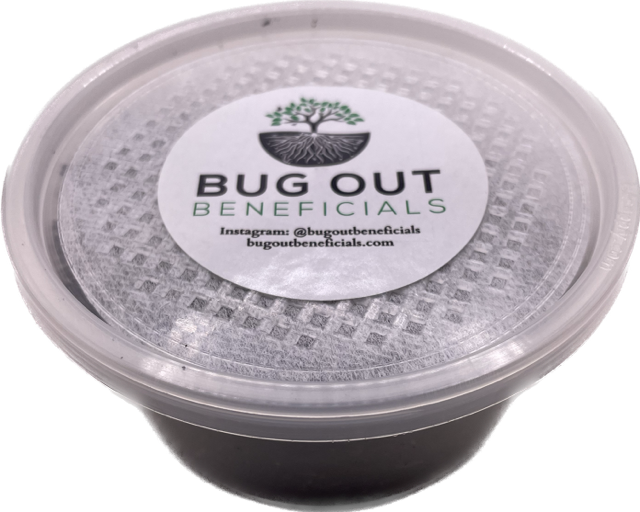 Living Soil Biodiversity/ Fungus Gnat Smack Pack